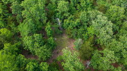 property photo for Falcon Crest Tract 21, 5.45 acres for sale in Pushmataha County, Oklahoma