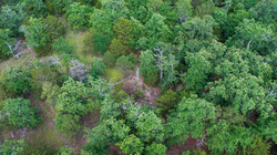 property photo for Falcon Crest Tract 21, 5.45 acres for sale in Pushmataha County, Oklahoma