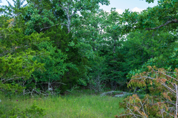 property photo for Falcon Crest Tract 21, 5.45 acres for sale in Pushmataha County, Oklahoma