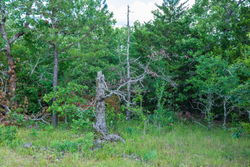 property photo for Falcon Crest Tract 21, 5.45 acres for sale in Pushmataha County, Oklahoma