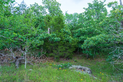 property photo for Falcon Crest Tract 21, 5.45 acres for sale in Pushmataha County, Oklahoma