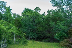 property photo for Falcon Crest Tract 21, 5.45 acres for sale in Pushmataha County, Oklahoma