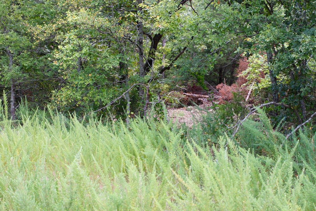 Tract 1 at Lakeview Private Reserve in Pushmataha County, Oklahoma