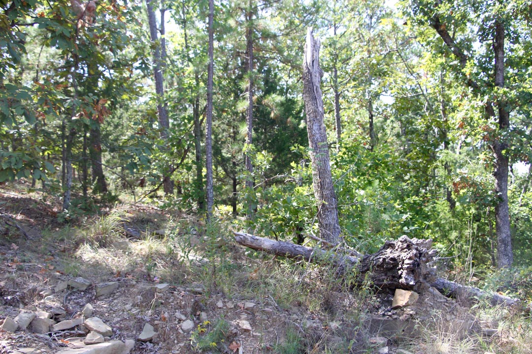 Tract 12 at Lakeview Private Reserve in Pushmataha County, Oklahoma