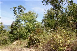property photo for Lakeview Private Reserve Tract 13, 5.84 acres for sale in Pushmataha County, Oklahoma