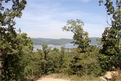 property photo for Lakeview Private Reserve Tract 13, 5.84 acres for sale in Pushmataha County, Oklahoma