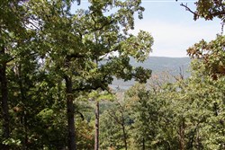 property photo for Lakeview Private Reserve Tract 13, 5.84 acres for sale in Pushmataha County, Oklahoma