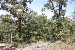 property photo for Lakeview Private Reserve Tract 13, 5.84 acres for sale in Pushmataha County, Oklahoma