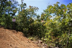 property photo for Lakeview Private Reserve Tract 14, 5.79 acres for sale in Pushmataha County, Oklahoma