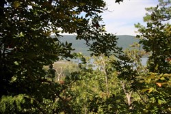 property photo for Lakeview Private Reserve Tract 14, 5.79 acres for sale in Pushmataha County, Oklahoma