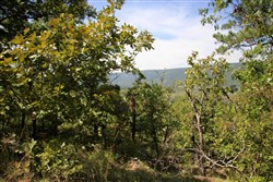 property photo for Lakeview Private Reserve Tract 14, 5.79 acres for sale in Pushmataha County, Oklahoma