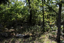 property photo for Lakeview Private Reserve Tract 15, 5.54 acres for sale in Pushmataha County, Oklahoma
