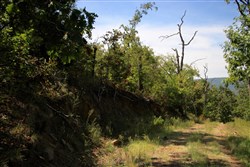 property photo for Lakeview Private Reserve Tract 15, 5.54 acres for sale in Pushmataha County, Oklahoma