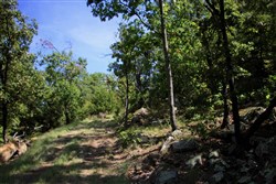 property photo for Lakeview Private Reserve Tract 15, 5.54 acres for sale in Pushmataha County, Oklahoma