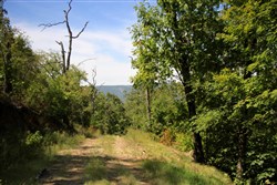 property photo for Lakeview Private Reserve Tract 15, 5.54 acres for sale in Pushmataha County, Oklahoma