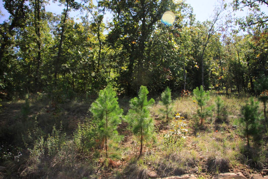 Tract 16 at Lakeview Private Reserve in Pushmataha County, Oklahoma