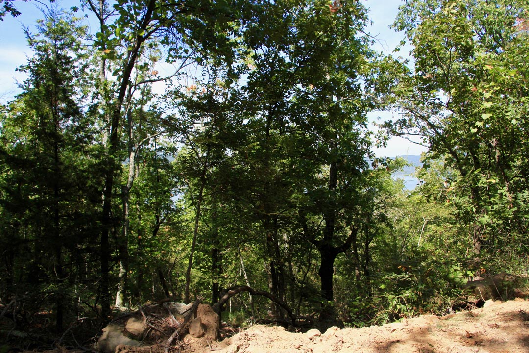 Tract 20 at Lakeview Private Reserve in Pushmataha County, Oklahoma