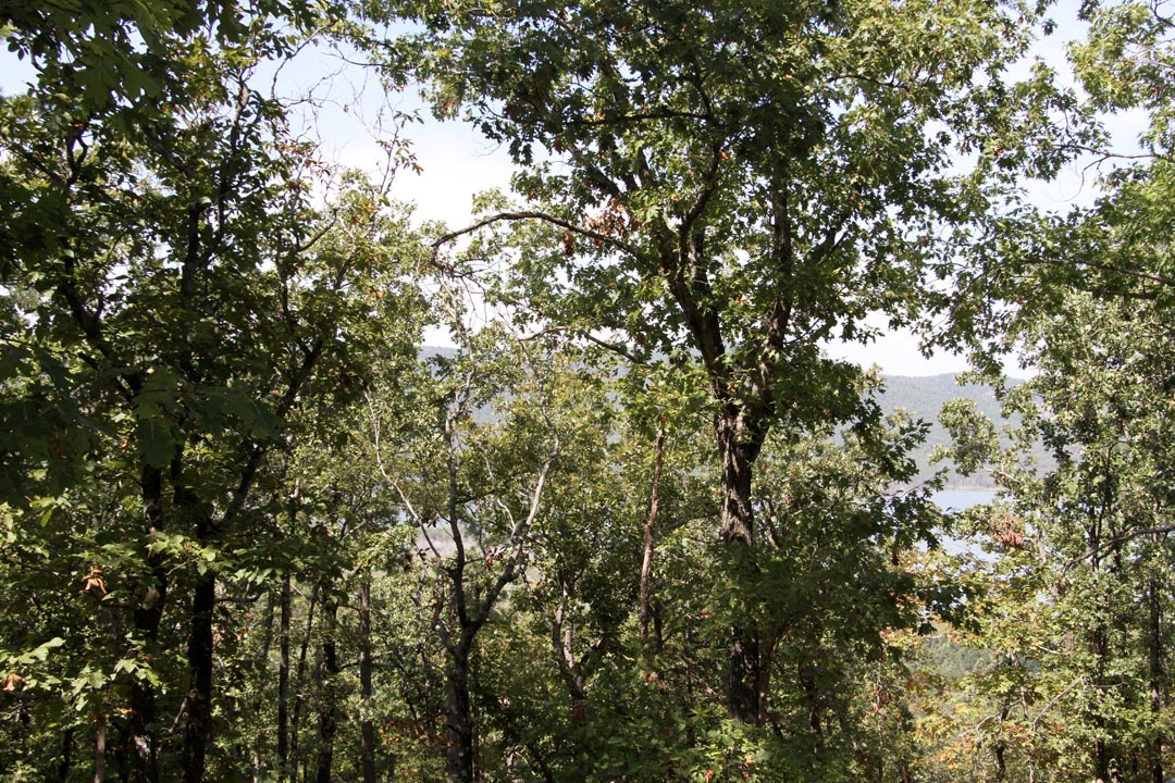 Tract 21 at Lakeview Private Reserve in Pushmataha County, Oklahoma