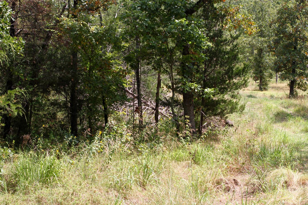 Tract 3 at Lakeview Private Reserve in Pushmataha County, Oklahoma
