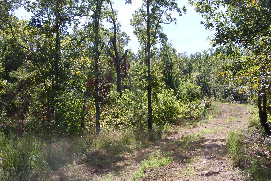 Tract 4 at Lakeview Private Reserve in Pushmataha County, Oklahoma