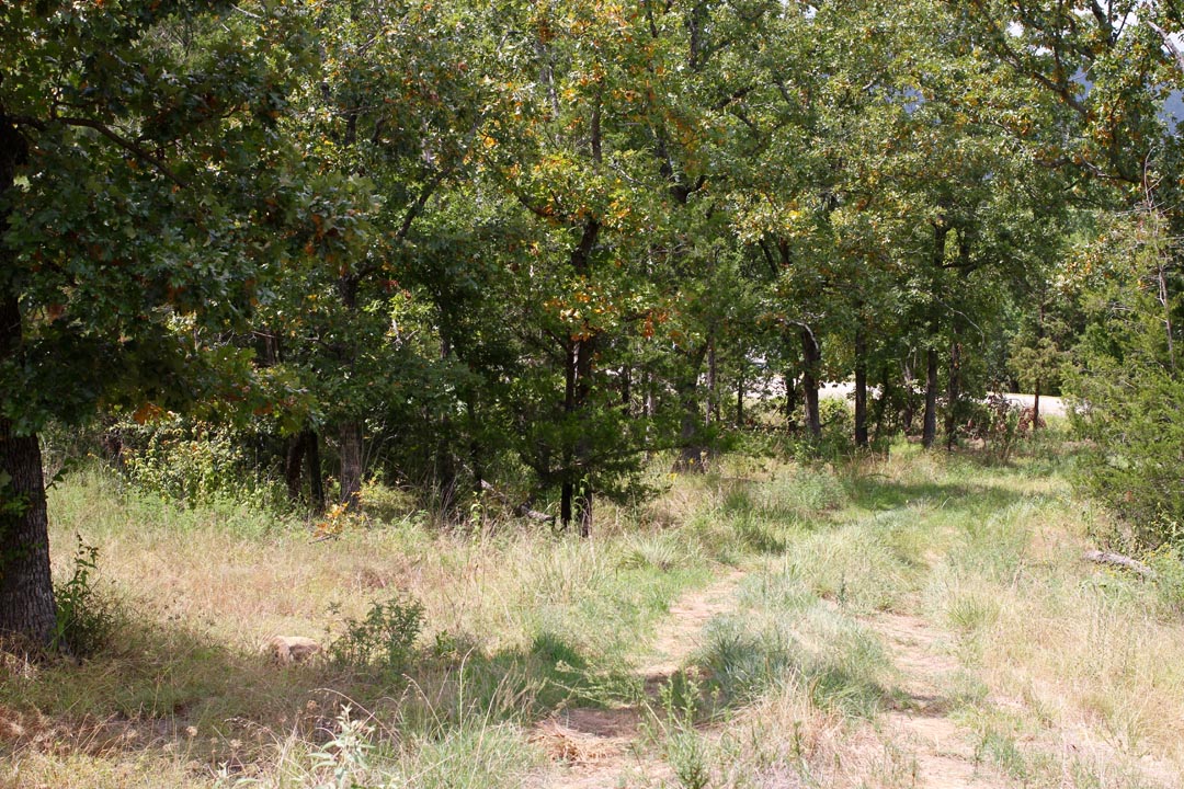 Tract 5 at Lakeview Private Reserve in Pushmataha County, Oklahoma