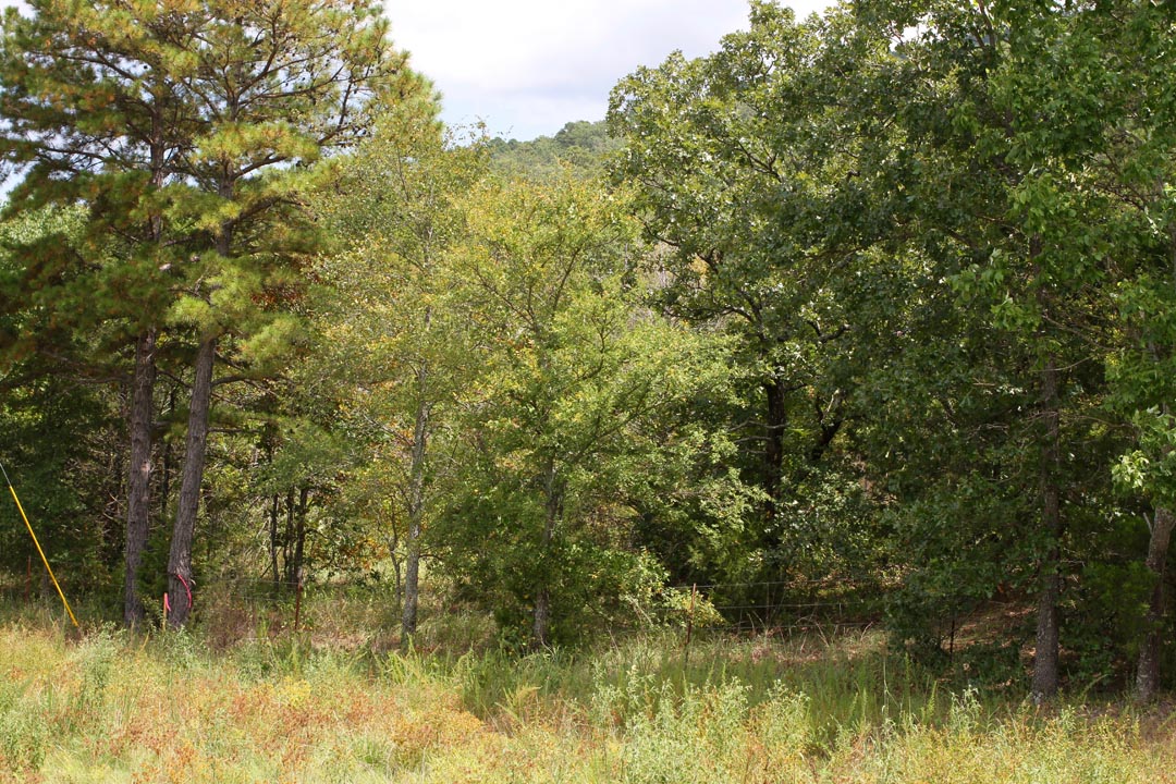 Tract 7 at Lakeview Private Reserve in Pushmataha County, Oklahoma
