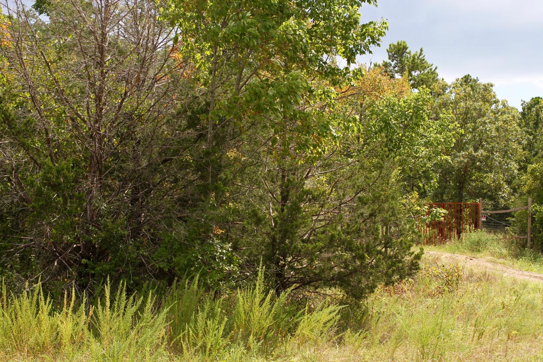 Tract 8 at Lakeview Private Reserve in Pushmataha County, Oklahoma