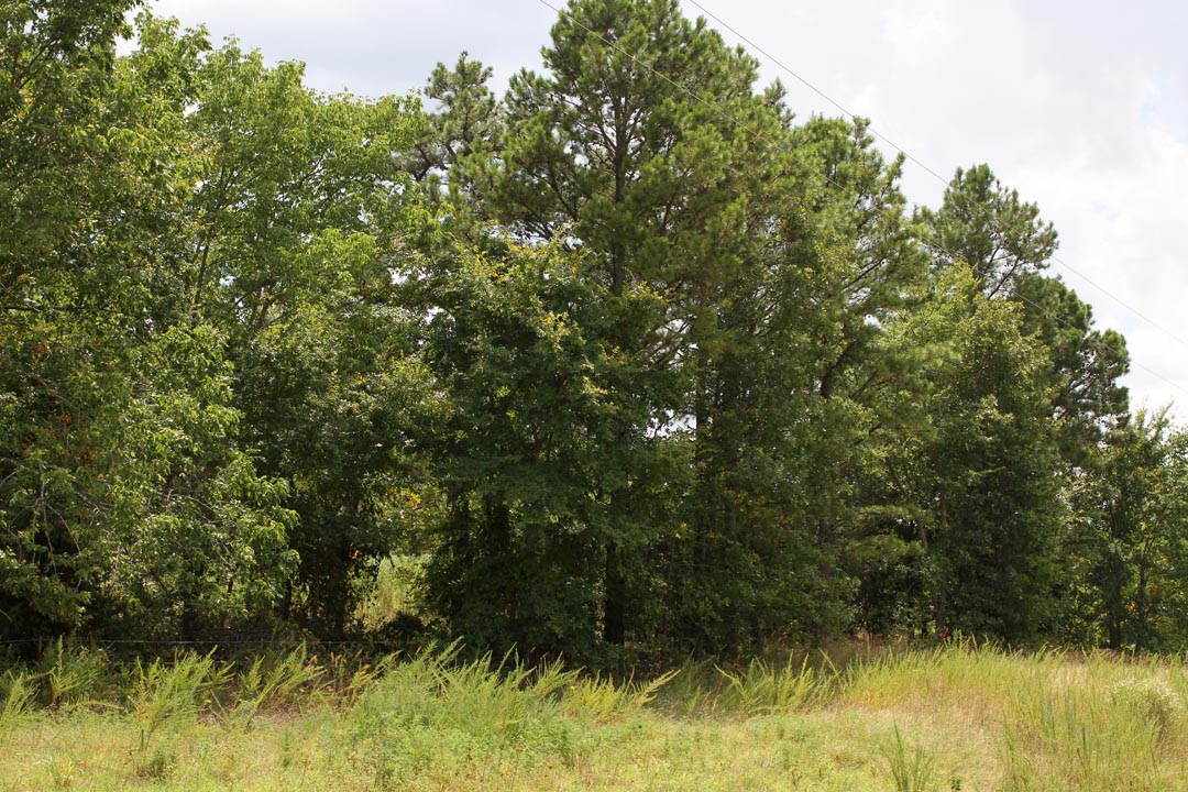 Tract 9 at Lakeview Private Reserve in Pushmataha County, Oklahoma