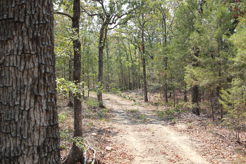 Tract 1 at Lake View Ranch in Pushmataha County, Oklahoma