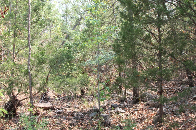 Tract 11 at Lake View Ranch in Pushmataha County, Oklahoma