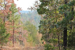 property photo for Lake View Ranch Tract 13, 4.2 acres for sale in Pushmataha County, Oklahoma
