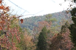 property photo for Lake View Ranch Tract 13, 4.2 acres for sale in Pushmataha County, Oklahoma