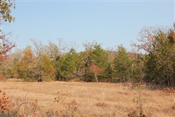 property photo for Lake View Ranch Tract 13, 4.2 acres for sale in Pushmataha County, Oklahoma