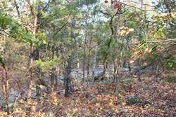 property photo for Lake View Ranch Tract 14, 10.97 acres for sale in Pushmataha County, Oklahoma