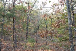 property photo for Lake View Ranch Tract 14, 10.97 acres for sale in Pushmataha County, Oklahoma