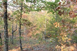 property photo for Lake View Ranch Tract 14, 10.97 acres for sale in Pushmataha County, Oklahoma