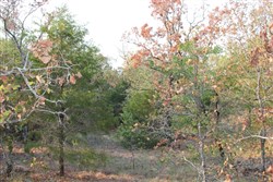 property photo for Lake View Ranch Tract 14, 10.97 acres for sale in Pushmataha County, Oklahoma