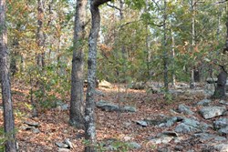 property photo for Lake View Ranch Tract 14, 10.97 acres for sale in Pushmataha County, Oklahoma