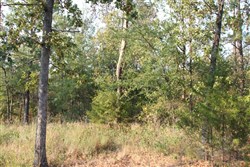 property photo for Lake View Ranch Tract 15, 6.31 acres for sale in Pushmataha County, Oklahoma