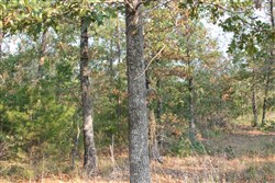 property photo for Lake View Ranch Tract 15, 6.31 acres for sale in Pushmataha County, Oklahoma