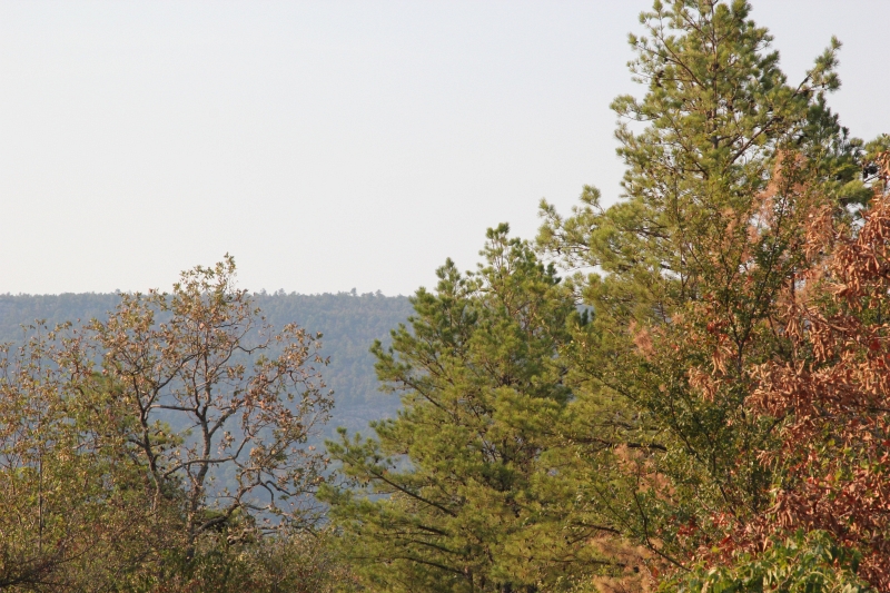 Tract 17 at Lake View Ranch in Pushmataha County, Oklahoma