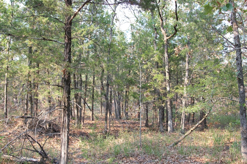 Tract 19 at Lake View Ranch in Pushmataha County, Oklahoma