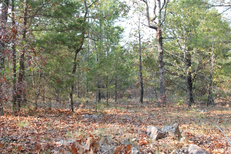 Tract 20 at Lake View Ranch in Pushmataha County, Oklahoma