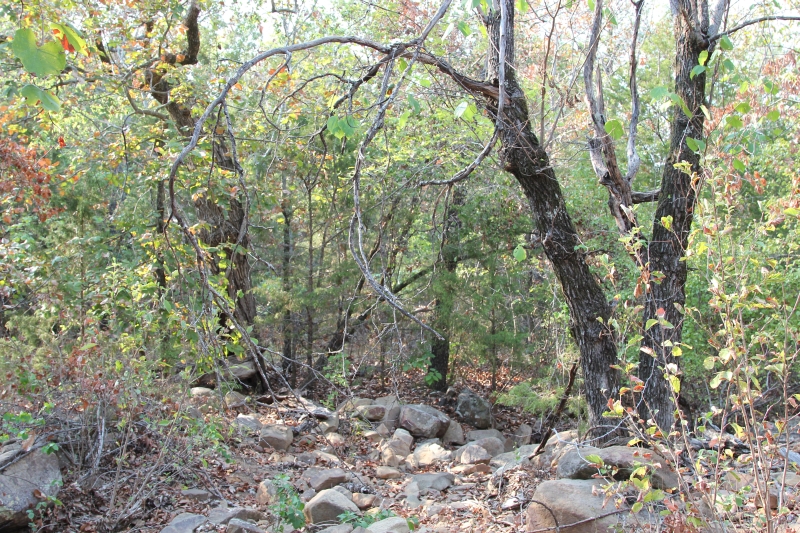 Tract 21 at Lake View Ranch in Pushmataha County, Oklahoma