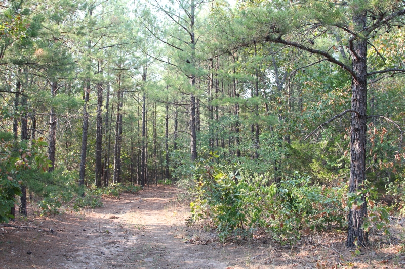 Tract 22 at Lake View Ranch in Pushmataha County, Oklahoma