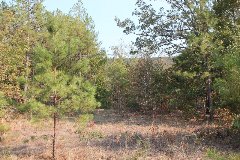 Tract 23 at Lake View Ranch in Pushmataha County, Oklahoma