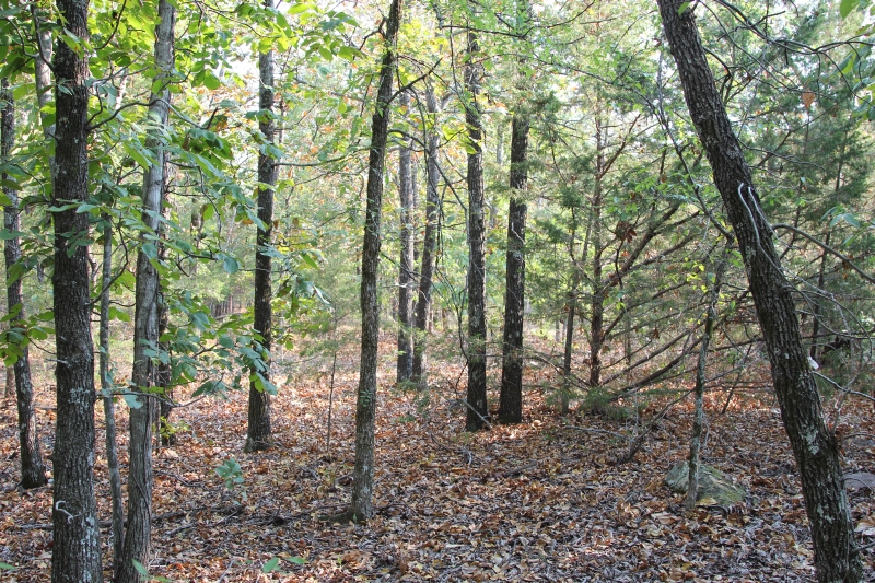 Tract 25 at Lake View Ranch in Pushmataha County, Oklahoma