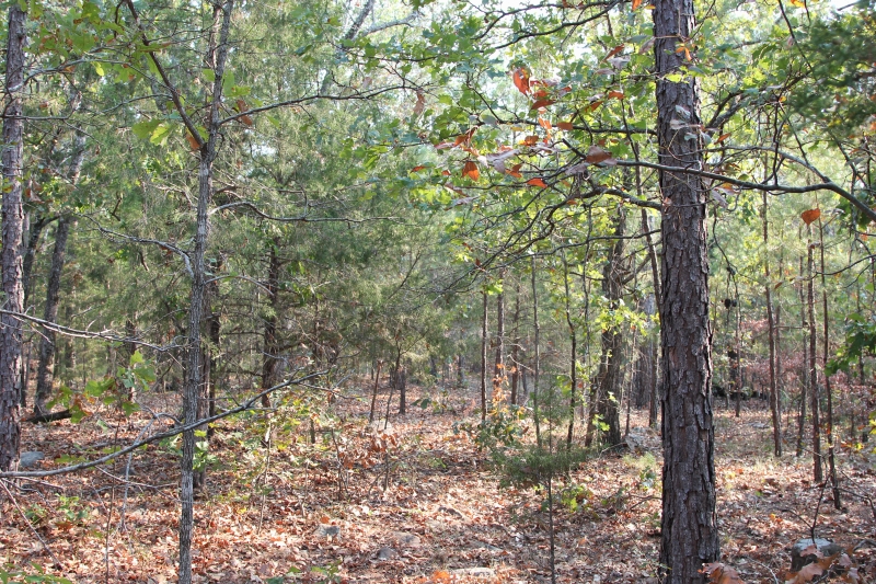 Tract 26 at Lake View Ranch in Pushmataha County, Oklahoma