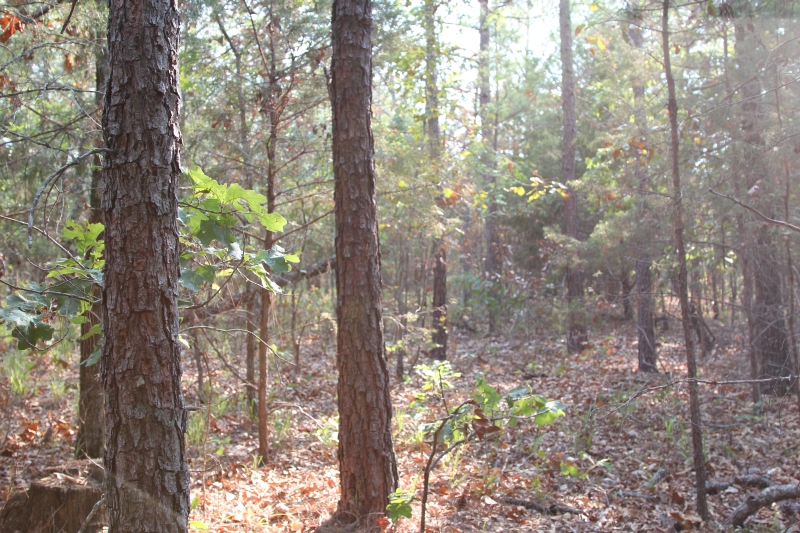 Tract 27 at Lake View Ranch in Pushmataha County, Oklahoma