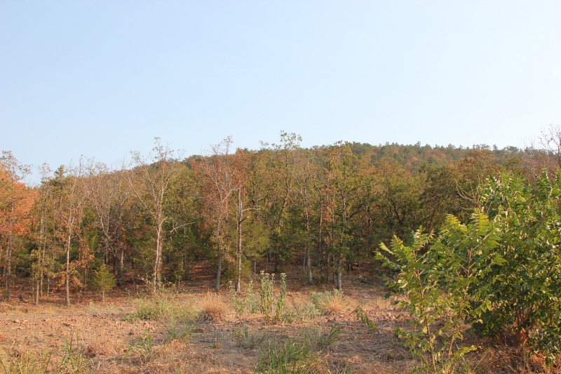 Tract 29 at Lake View Ranch in Pushmataha County, Oklahoma